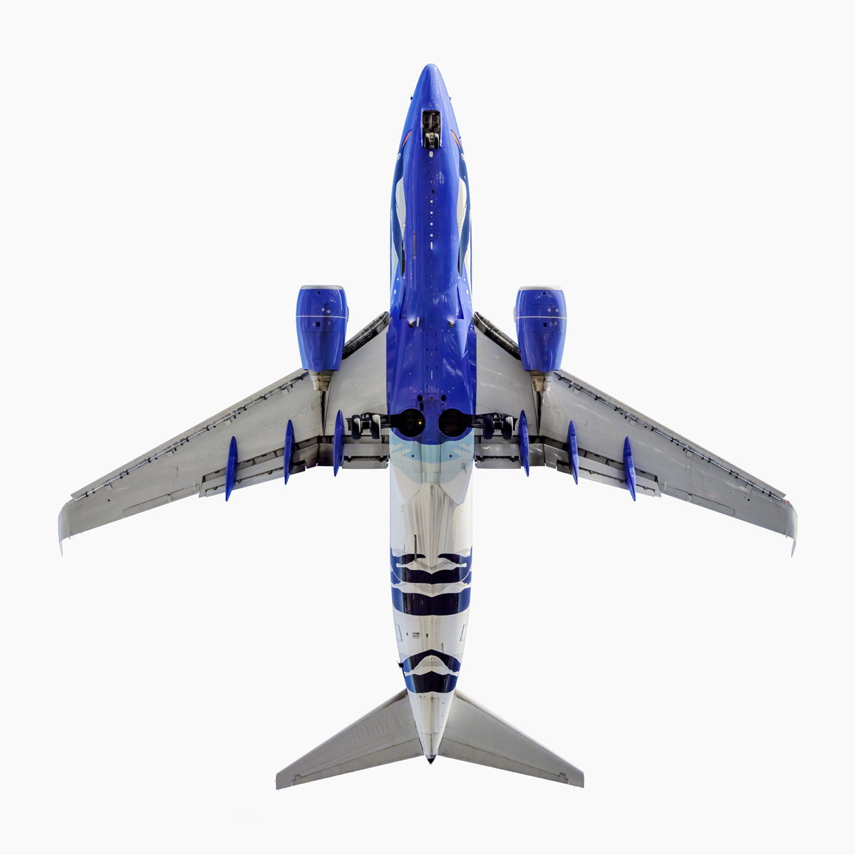 Southwest Airlines Penguin One Boeing 737-700